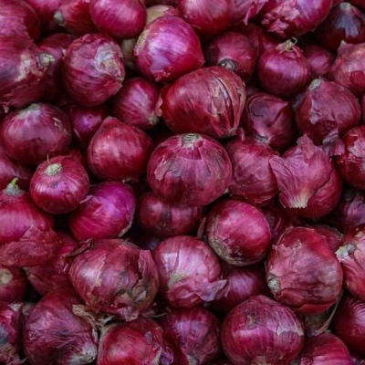 How Onion Farming Can Make You a Millionaire