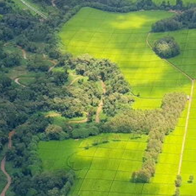 Little-Known Kenyan Law That Lets the Government Take Your Land
