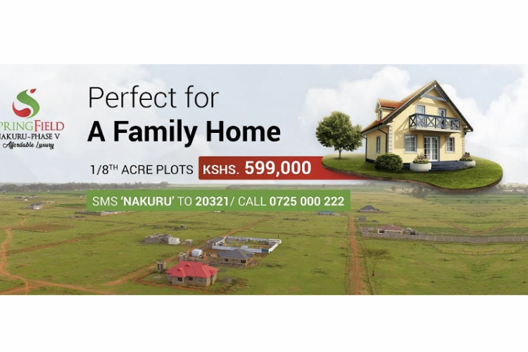 Investment Opportunity: Springfield Nakuru Phase V