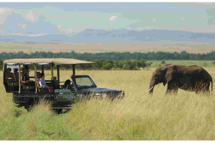 US, Uganda and UK Lead Kenya Tourist Arrivals 