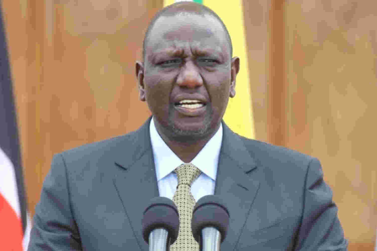 Hustler Fund: President Ruto Pledges Single-digit Interest Rate Loans by December 
