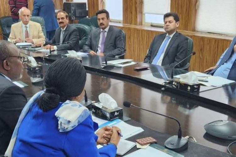Boost for Kenya as Pakistan Declares Tea an Essential Import Commodity 