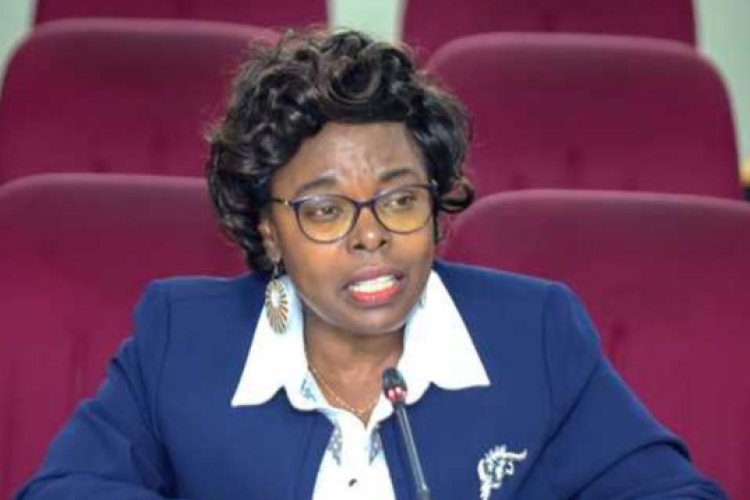 Experts Want Kenya Kwanza to Curb Insatiable Tax Appetite