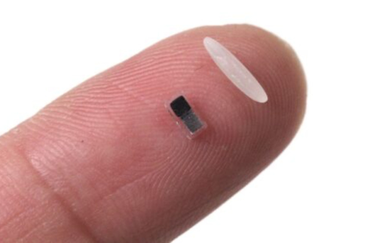 US Scientists Develop Rice-Sized Dissolvable Pacemaker to Revolutionize Cardiac Care