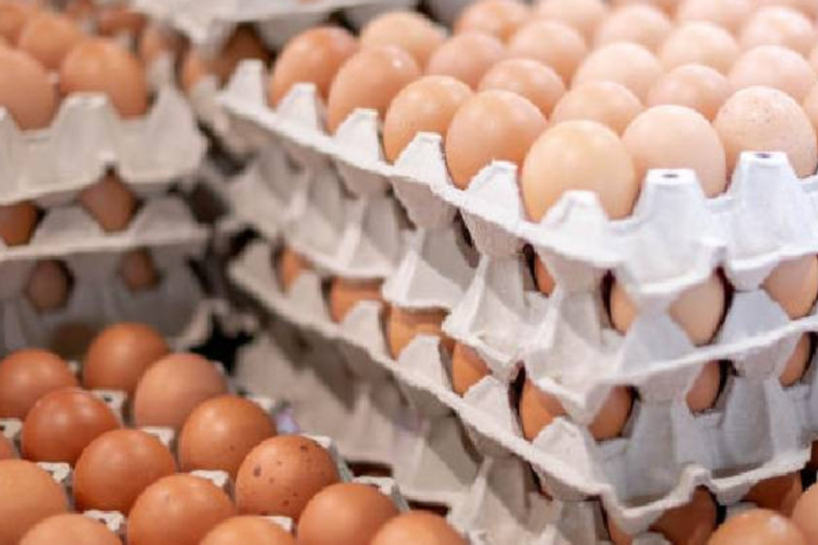 Kenya Moves to Scrap Excise Duties on Imported Eggs, Onions, and Potatoes