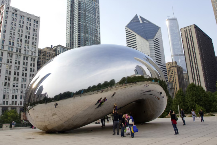 Illinois Sees Sharp Increase in Citizenship Applications as Green Card Holders Worry