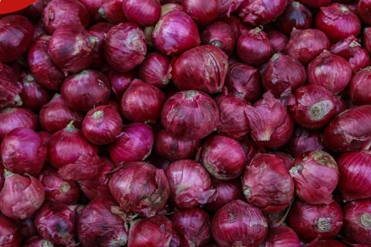 How Onion Farming Can Make You a Millionaire