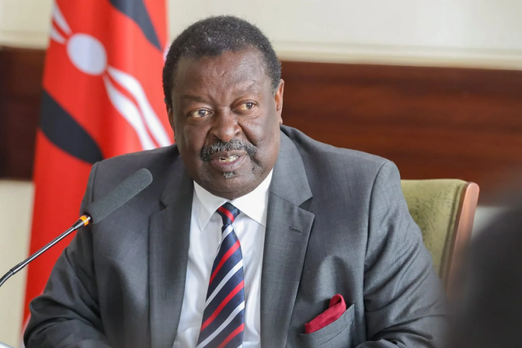 How Mudavadi Became the Face of Kenya's Diaspora Diplomacy
