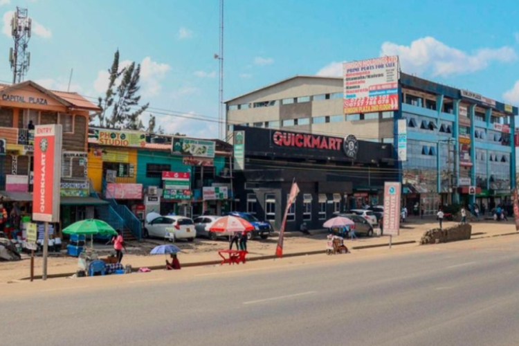 Mystery Deaths of 11 Cats and Dogs Spark Poisoning Fears in Utawala Estate