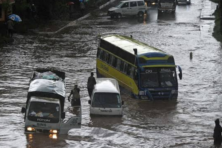 Kenya Could See Heavy Rains From September as El Niño Strengthens