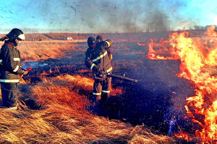 Raging Fire Near Bordeaux Threatens French Wine Industry and Global Markets