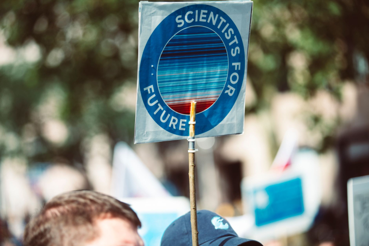 Future Generations at Risk as Global Tree Planting Efforts Lag Behind Targets