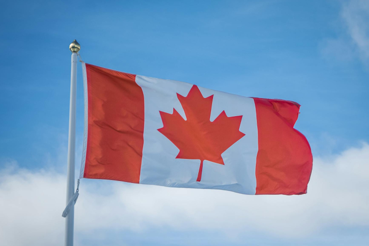 Kenyan Professionals in Canada Confront Housing Challenges Amid Growing Population