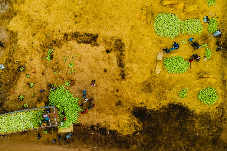 Rising Food Costs Fuel Global Concerns Over Inflation and Its Impact on Economies