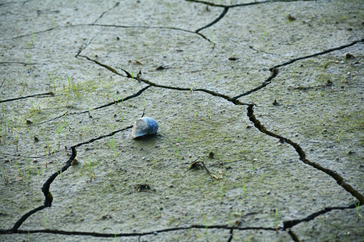 Heat Waves in Europe Linked to Thousands of Excess Deaths as Climate Concerns Rise