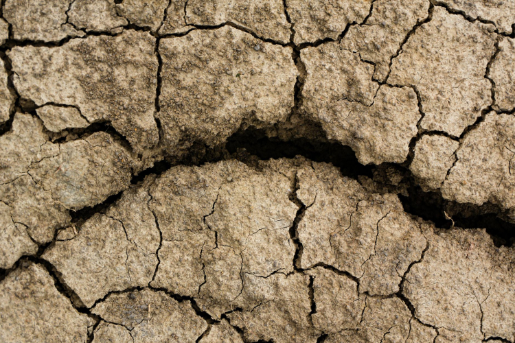 Severe Drought in the UK Raises Global Concerns Over Water Scarcity