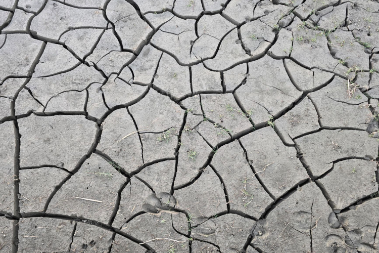 Absence of Key Leaders at COP30 Raises Questions About Commitment to Climate Goals