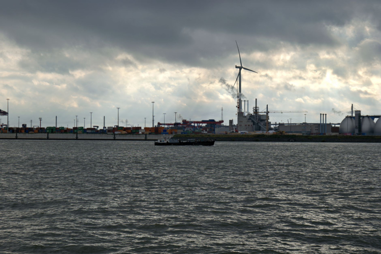 UK Port Faces Legal Battle Over Environmental Impact Amid Global Pressure