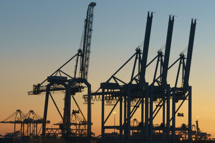 Pressure Mounts on Port of Rotterdam to Accelerate Green Transition