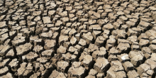 Record Dry Conditions Fuel Severe Drought in Wales, Sparking Global Water Concerns
