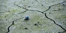 Global Leaders Meet to Address Climate Change Amid Increasing Urgency
