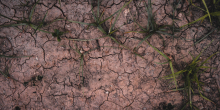 Record Heatwave in UK Sparks Global Concerns Over Climate Change Impacts