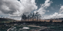 Impending El Niño Threatens to Intensify Global Climate Challenges