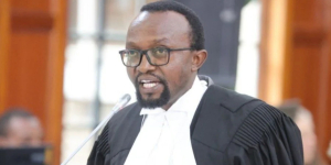 Lawyer Ndegwa Njiru to Sue NTSA Over Instant Traffic Fines
