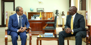 Somali President Orders Officials to Surrender Kenyan IDs or Quit Government