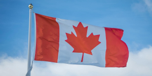 Kenyan Professionals in Canada Confront Housing Challenges Amid Growing Population
