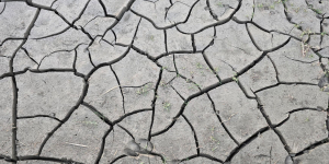 Absence of Key Leaders at COP30 Raises Questions About Commitment to Climate Goals