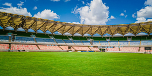 Kenyan Diaspora in Europe Eyes Opportunities Amid 2027 Africa Cup of Nations Preparations
