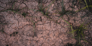 Italy's Major Cities Brace for Record Heat as Climate Patterns Intensify