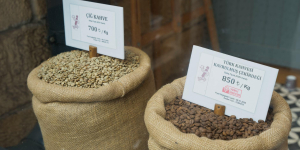 Coffee Prices Surge Globally as Poor Harvests in Brazil and Vietnam Hit Markets